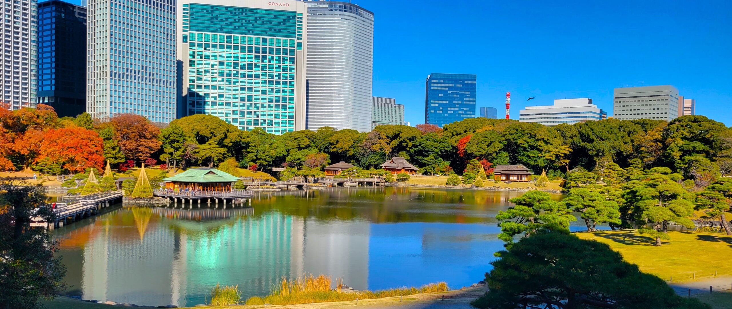 Hama-rikyu Gardens in Tokyo.