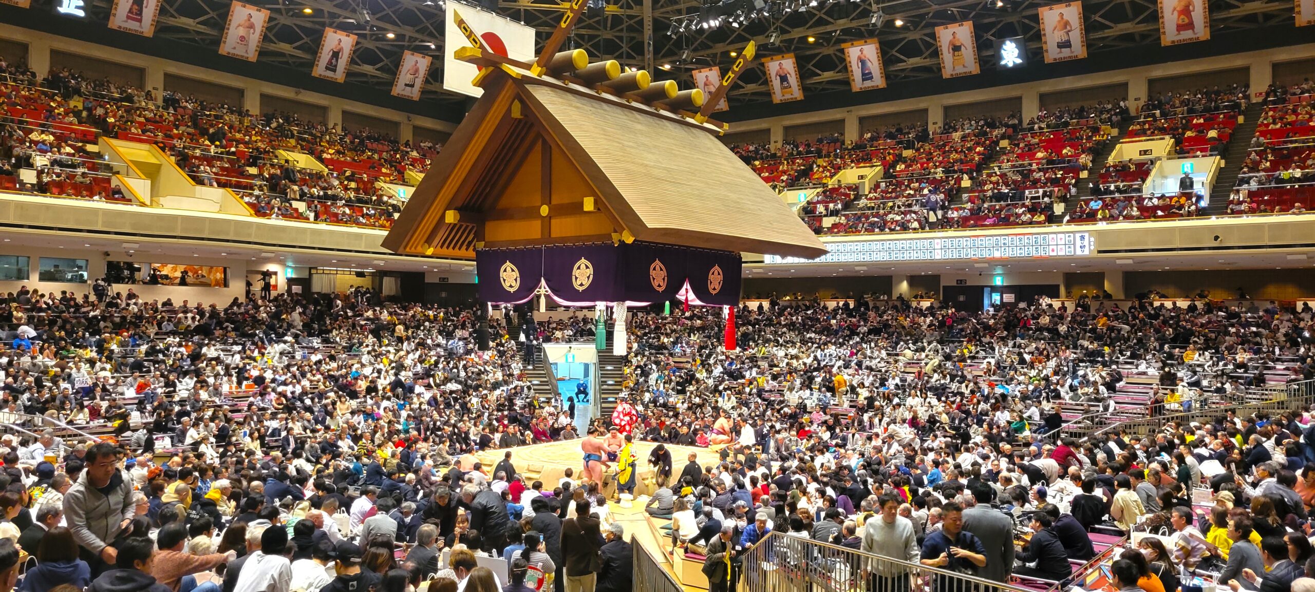 Watch Sumo in Tokyo!